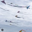 Kite internationa festival