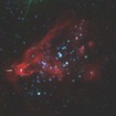 ハッブル宇宙望遠鏡で撮像した、矮小銀河ホルムベルク II にある超高光度X線源 X-1（矢印） の周辺の多色合成画像