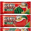 ガリガリ君スイカ