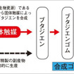 バイオマスを原料とした合成ゴム（ブタジエンゴム）合成のイメージ