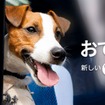 房総半島で愛犬と楽しい体験が楽しめるおでかけプラン「おでか犬」