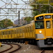 「黄色い電車」は西武鉄道のイメージとして定着している。写真は2000系。