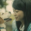 トヨタドッグサークルウェブ限定動画「Smile Again」