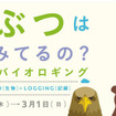 どうぶつは、なにをみてるの？～目線映像とバイオロギング～