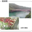 ダム湖をまたぐランガー橋。支承部に著しい腐食が発生。