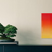 （左）加藤蔓青園の盆栽「五葉松」、（右）榎本裕一「草花01」（写真はイメージ）
