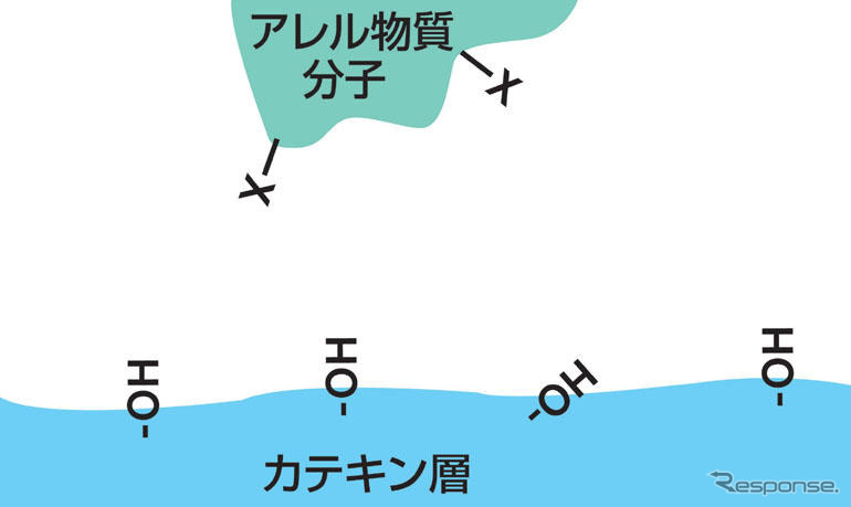 日産、花粉症の原因物質をほぼ除去できるエアコンフィルターを新開発