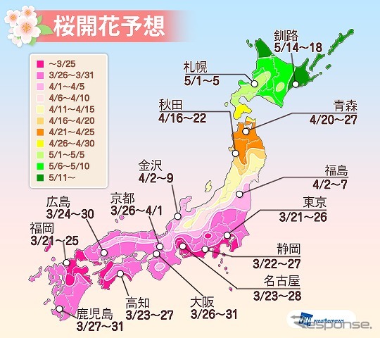 桜開花予想