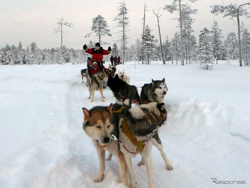 犬ゾリは二人一組で乗車し、一人が操縦者としてソリの後ろに乗る