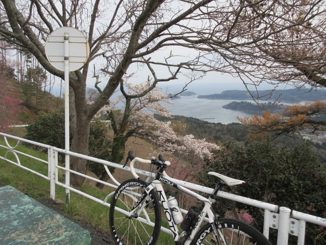 気仙沼大島の最高峰、亀山に登る。4月中旬でサクラはすでに満開となった