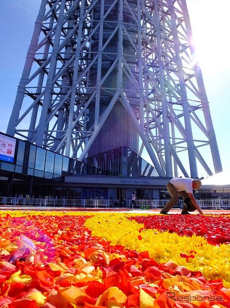 東京スカイツリータウン開業4周年記念「ブリュッセル・フラワーカーペットフェスティバル Supported by アサヒビール」（5月18～22日）