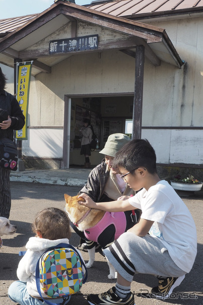 1日1本の列車しか発着しない札沼線の終点・新十津川駅。11月7日に発表された2016年度の線区別収支状況によると、同駅を含む札沼線北海道医療大学以北の輸送密度は、JR北海道のワースト1となっている。新十津川町では、駅長犬に柴犬を迎えてイベントを開催するなど、人を呼び込むための懸命な努力が続けられているが、当別、月形、浦臼、新十津川の沿線4町は、路線維持困難との認識で一致し、バス転換を視野に入れた新たな交通体系のあり方を考える方向で検討を進めていくという報道があった。