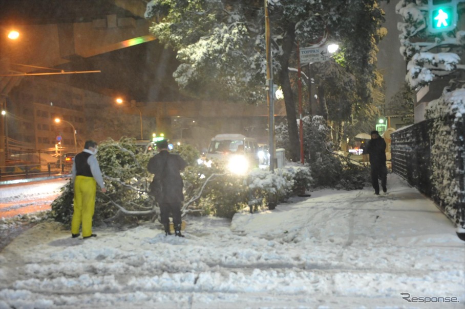 都心でも積雪20センチを超え、物損事故も増加した