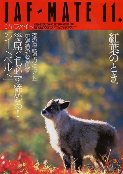 後席シートベルトがどれだけ大切か……衝突テスト連続写真