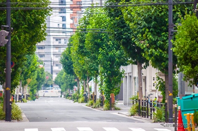 地域公共交通会議での議決方法の考え方を改正へ 国交省 レスポンス Response Jp