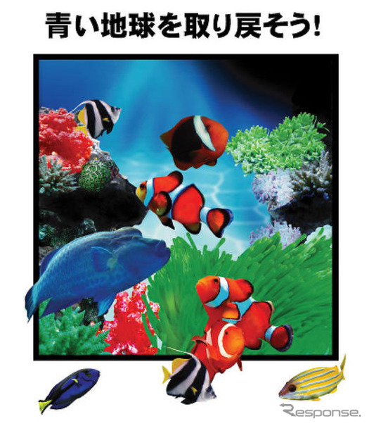 沖縄でサンゴ礁再生を訴える　マツダレンタカー