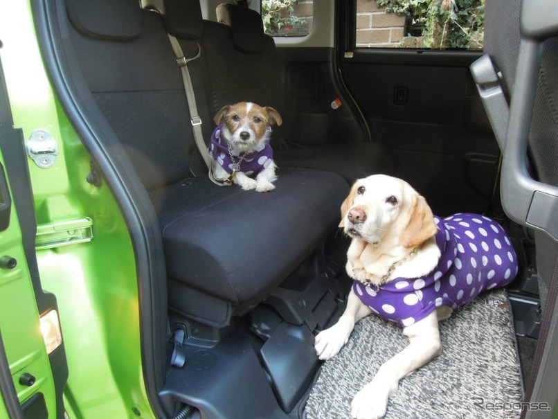 青山尚暉のわんダフルカーライフ 小は大を兼ねる プチバンが大型犬 多頭乗車に適している理由 レスポンス Response Jp 青山尚暉のわんダフルカーライフ 小は大を兼ねる プチバンが大型犬 多頭乗車に適している理由 レスポンス Response Jp