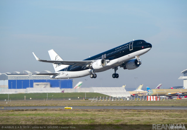 飛行機客室内でもペットと一緒 スターフライヤーが検証フライトへ レスポンス Response Jp 飛行機客室内でもペットと一緒 スターフライヤーが検証フライトへ レスポンス Response Jp