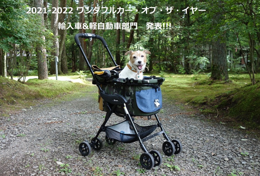 青山尚暉のわんダフルカーライフ 21年 わんダフルカー オブ ザ イヤー 輸入車 軽自動車部門を発表 レスポンス Response Jp