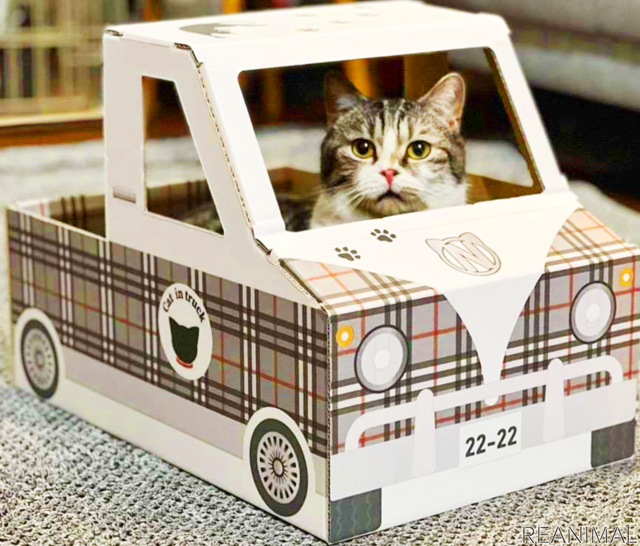 狭い所とダンボールが好きな猫のための 猫トラック 発売 レスポンス Response Jp