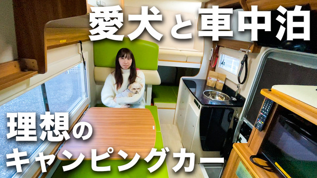 愛犬とテレワーク車中泊 ペット専用キャンピングカー Pet Rv 動画 レスポンス Response Jp