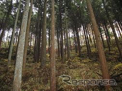 アイシン精機、豊田市と 企業の森づくり協定 を締結