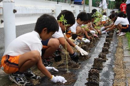 トヨタ車体、ケナフ植栽式を開催、小学生が種から育てた苗を植栽