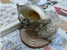 【夏休み】首都高山手トンネル、開通前区間のドライビングシミュレ−タ−