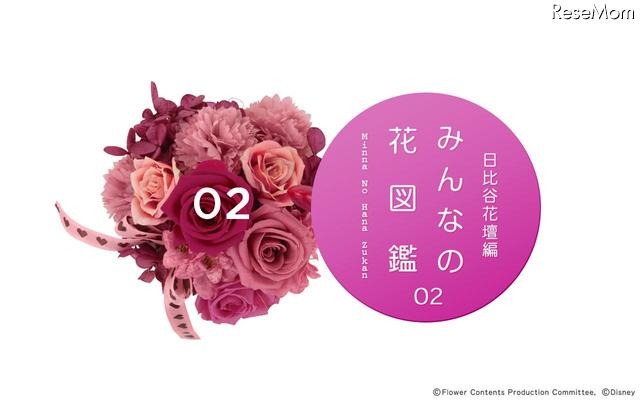 みんなの花図鑑vol.2