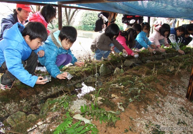 ブリヂストン、甘木工場ビオトープにホタル幼虫を放流