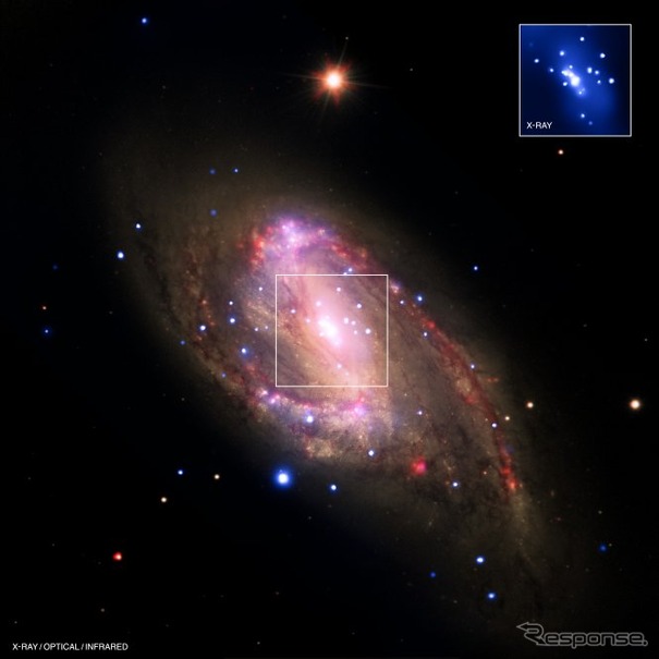 渦状銀河NGC3627