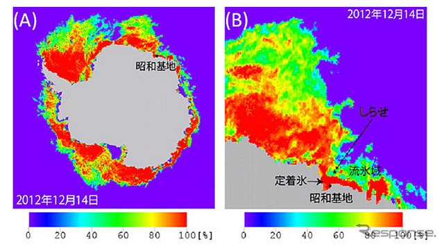 しずくが観測した海氷密接度画像