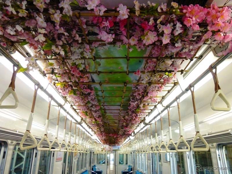 装飾電車「のせでん春物語」の車内。天井がサクラの花で装飾されている。