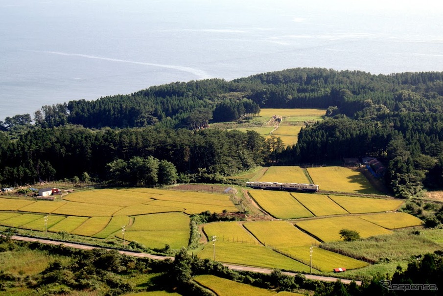 黄色く色づいた田園地帯の中を走る五能線の気動車。「秋田・津軽由遊パス」で利用できる。