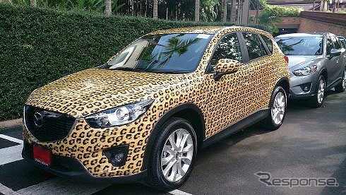 チーター模様のスペシャル CX-5