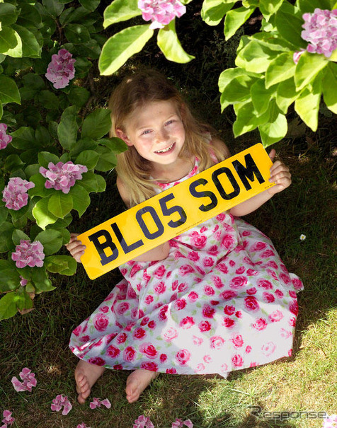 自然を愛するナンバープレート、とか。