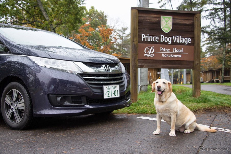 ホンダ オデッセイで愛犬マリアと晩秋の軽井沢へ