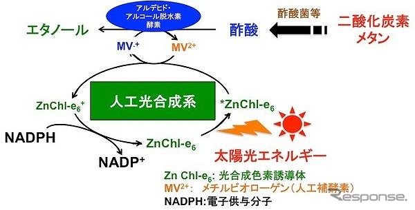 二酸化炭素を出発物質としたエタノール生産のための人工光合成技術