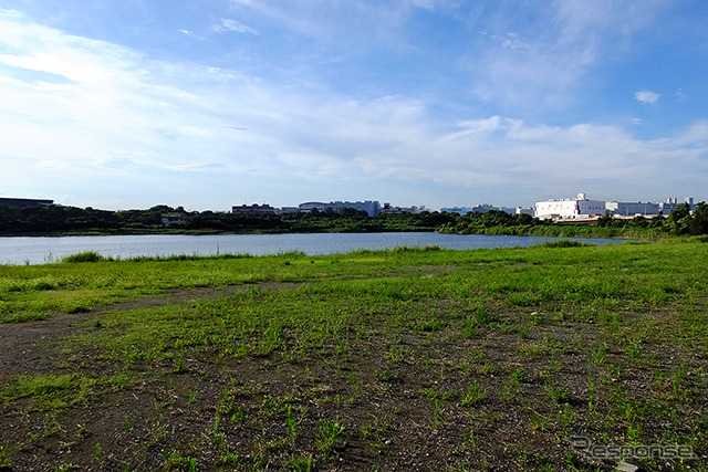 城南島から東京港野鳥公園を眺める。羽田アクセス新線はこの付近の地下に設置される計画だ