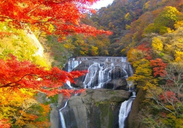 もみじ狩りとセットで行きたい 口コミで選ばれた日本の滝top レスポンス Response Jp
