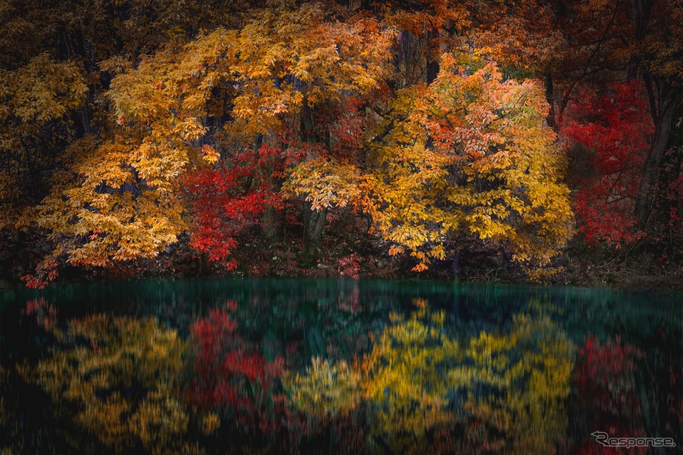 広大な猪苗代湖の湖面から見られる紅葉の中で、本当に穴場のような地帯があった。（猪苗代湖）