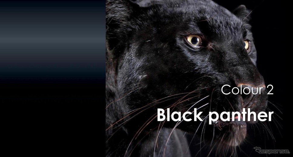 Black Panther