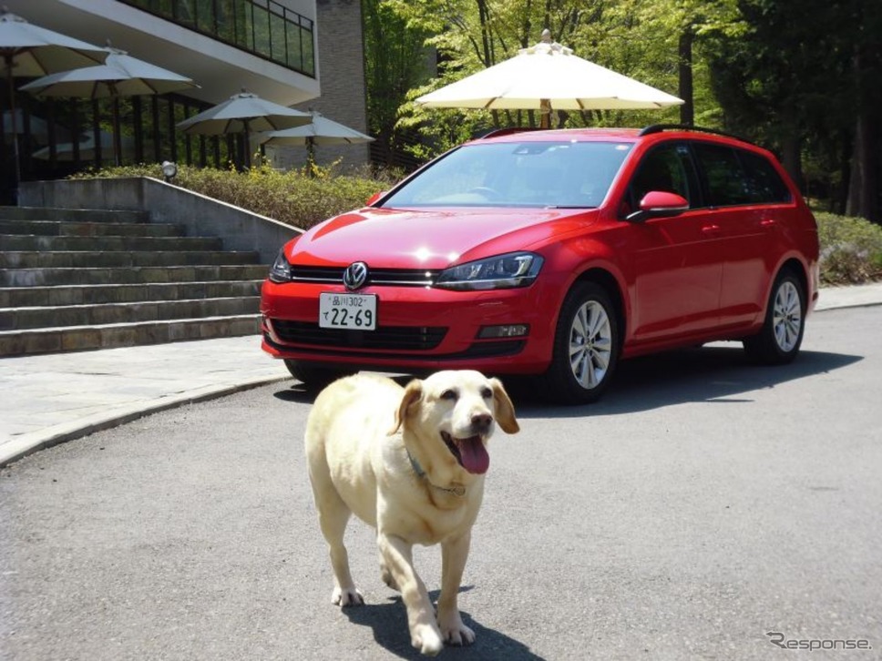 青山尚暉のわんダフルカーライフ 犬目線でチェック 愛犬に優しいクルマの機能 装備 15選 レスポンス Response Jp