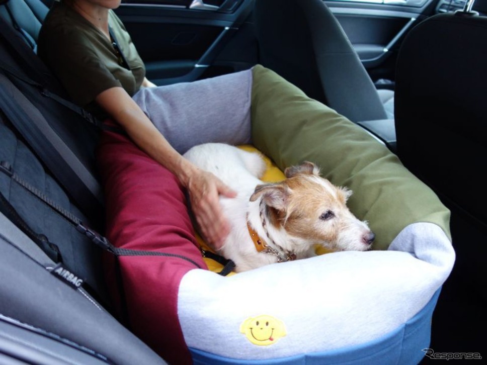 青山尚暉のわんダフルカーライフ クルマ用愛犬ベッドをタイプ別に検証してみた レスポンス Response Jp 青山尚暉のわんダフルカーライフ クルマ用愛犬ベッドをタイプ別に検証してみた レスポンス Response Jp