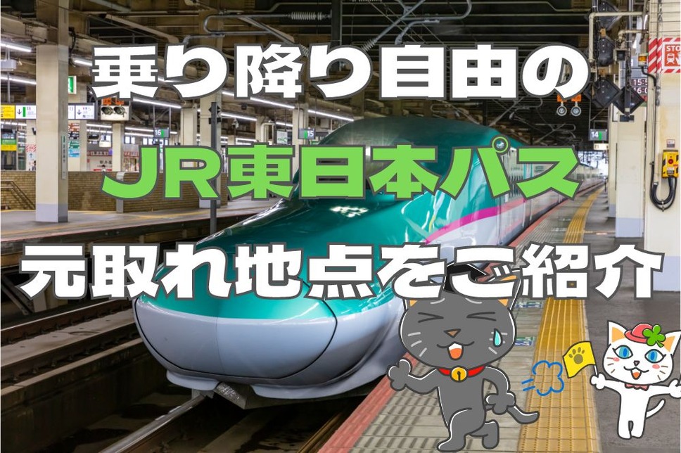 乗り降り自由のJR東日本パス 元取れ地点をご紹介