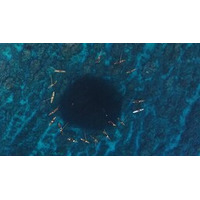 メラネシアの首脳陣、先住民主導の世界最大の海洋保護区を発表