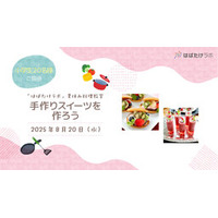 はばたけラボ夏休みこども料理教室　参加者募集