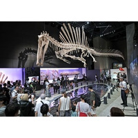 博物館泳ぐ14mスピノサウルス！最速５万人突破の恐竜展「獣脚類2025」。福井県立恐竜博物館で好評開催中！