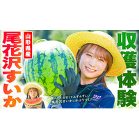 秋元真夏が山形県で尾花沢すいかを収穫！ シャリ感と甘さが魅力の夏すいかにかぶりつく