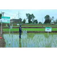 Good Rice Alliance、BeZero Carbonによる事前評価で上位四分位の「Ae」を獲得
